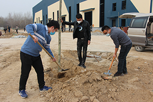 Tree planting day in 2020