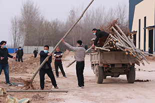 Tree planting day in 2020